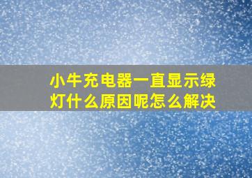 小牛充电器一直显示绿灯什么原因呢怎么解决