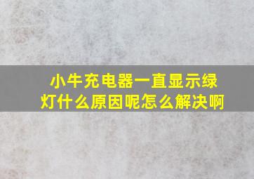 小牛充电器一直显示绿灯什么原因呢怎么解决啊