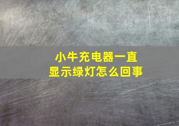 小牛充电器一直显示绿灯怎么回事