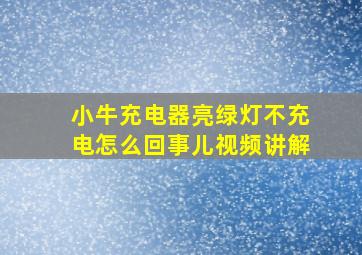 小牛充电器亮绿灯不充电怎么回事儿视频讲解