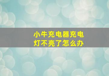 小牛充电器充电灯不亮了怎么办