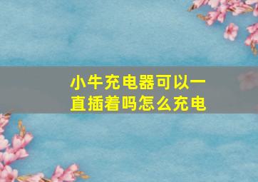 小牛充电器可以一直插着吗怎么充电