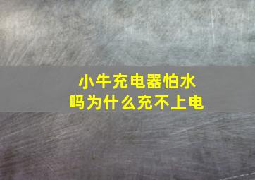 小牛充电器怕水吗为什么充不上电