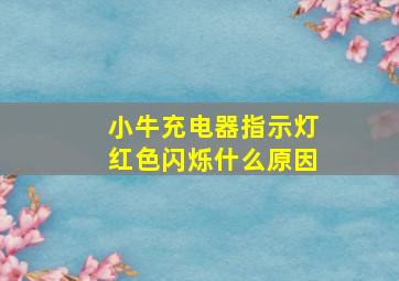 小牛充电器指示灯红色闪烁什么原因