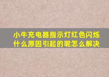 小牛充电器指示灯红色闪烁什么原因引起的呢怎么解决