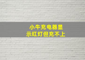 小牛充电器显示红灯但充不上