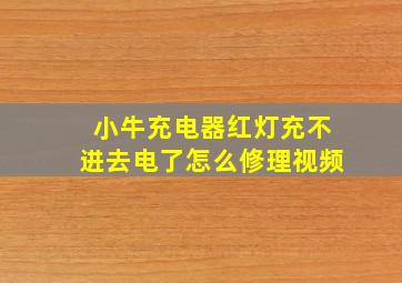 小牛充电器红灯充不进去电了怎么修理视频