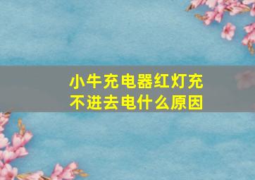 小牛充电器红灯充不进去电什么原因