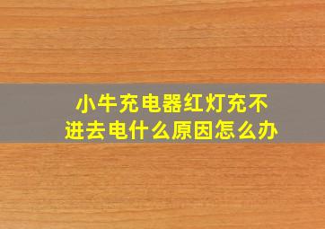 小牛充电器红灯充不进去电什么原因怎么办