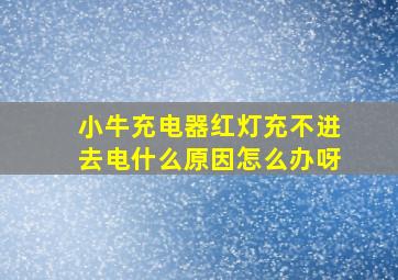 小牛充电器红灯充不进去电什么原因怎么办呀