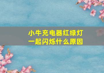 小牛充电器红绿灯一起闪烁什么原因