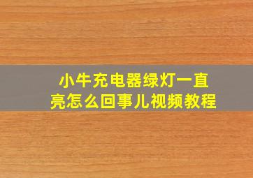 小牛充电器绿灯一直亮怎么回事儿视频教程