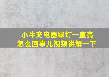 小牛充电器绿灯一直亮怎么回事儿视频讲解一下