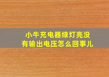 小牛充电器绿灯亮没有输出电压怎么回事儿