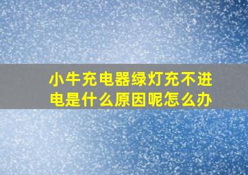 小牛充电器绿灯充不进电是什么原因呢怎么办