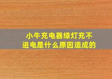 小牛充电器绿灯充不进电是什么原因造成的