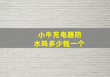 小牛充电器防水吗多少钱一个