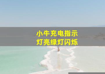 小牛充电指示灯亮绿灯闪烁