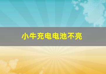 小牛充电电池不亮