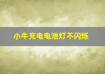 小牛充电电池灯不闪烁