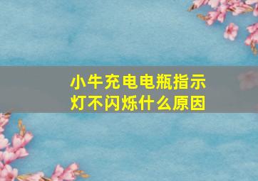 小牛充电电瓶指示灯不闪烁什么原因