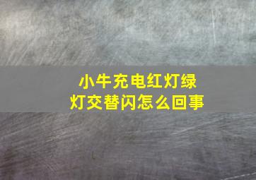 小牛充电红灯绿灯交替闪怎么回事