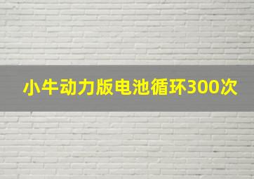 小牛动力版电池循环300次