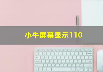 小牛屏幕显示110