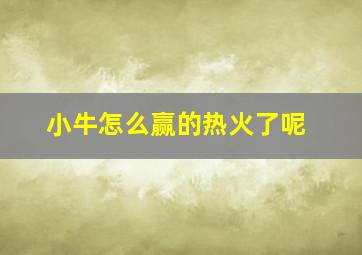 小牛怎么赢的热火了呢