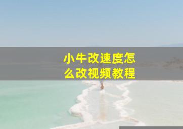 小牛改速度怎么改视频教程