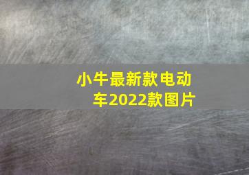 小牛最新款电动车2022款图片