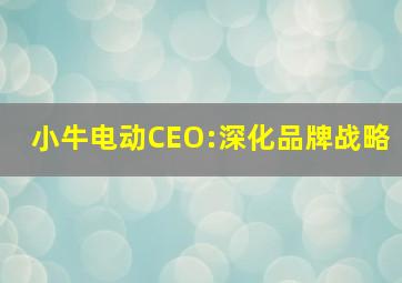 小牛电动CEO:深化品牌战略