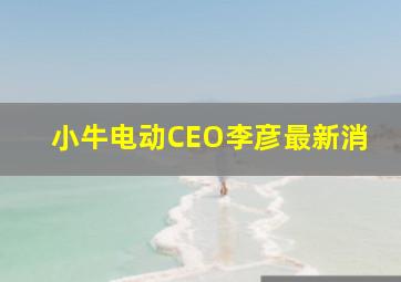 小牛电动CEO李彦最新消