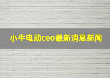 小牛电动ceo最新消息新闻