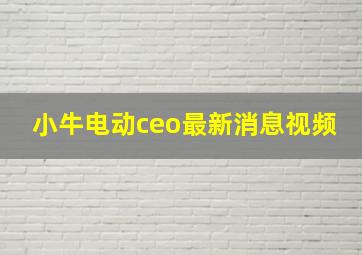 小牛电动ceo最新消息视频