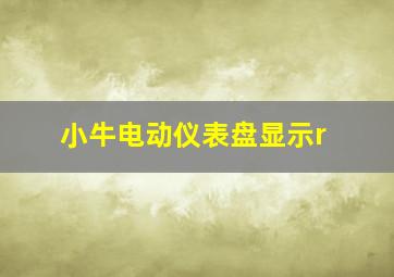 小牛电动仪表盘显示r