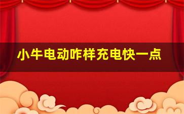 小牛电动咋样充电快一点