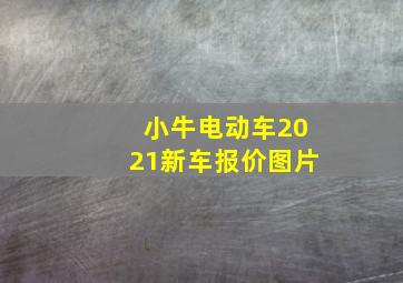 小牛电动车2021新车报价图片