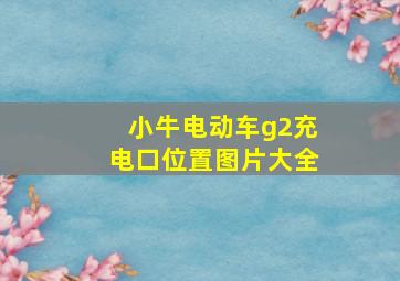 小牛电动车g2充电口位置图片大全