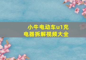 小牛电动车u1充电器拆解视频大全