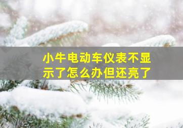 小牛电动车仪表不显示了怎么办但还亮了