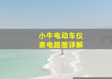 小牛电动车仪表电路图详解