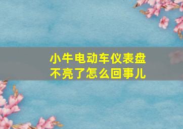 小牛电动车仪表盘不亮了怎么回事儿