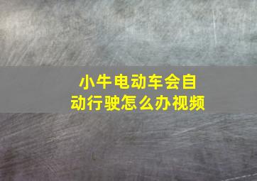 小牛电动车会自动行驶怎么办视频