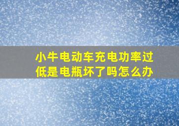 小牛电动车充电功率过低是电瓶坏了吗怎么办