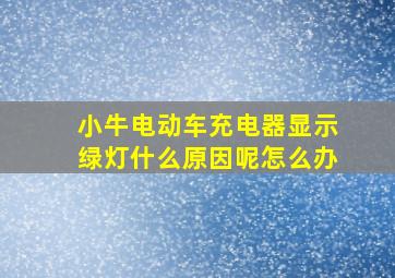 小牛电动车充电器显示绿灯什么原因呢怎么办