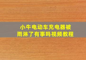 小牛电动车充电器被雨淋了有事吗视频教程