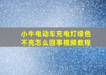 小牛电动车充电灯绿色不亮怎么回事视频教程