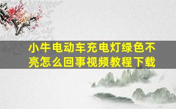 小牛电动车充电灯绿色不亮怎么回事视频教程下载