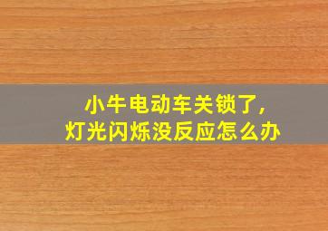 小牛电动车关锁了,灯光闪烁没反应怎么办